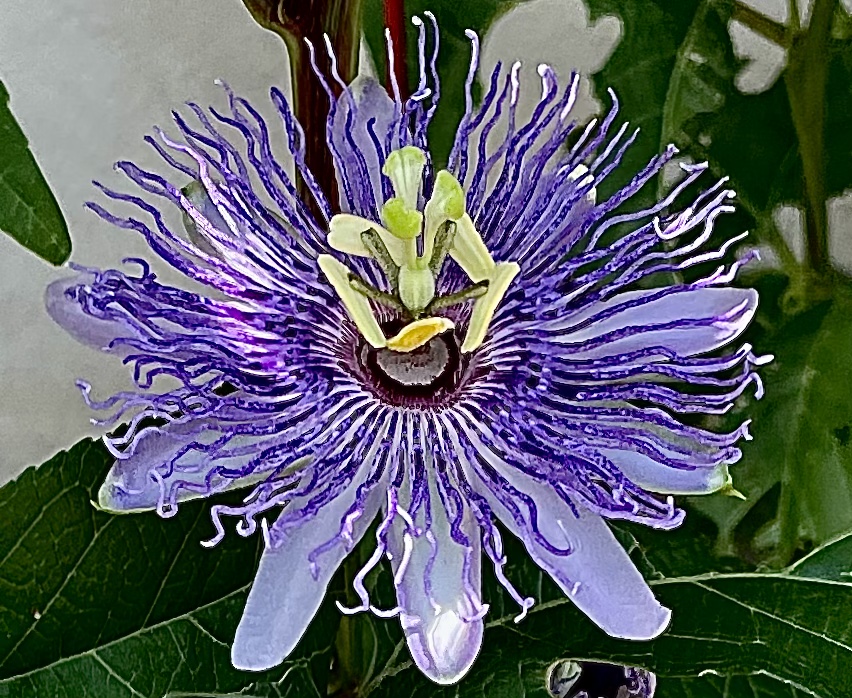 665B8C71-F74B-4BEC-95C0-C8202992C114