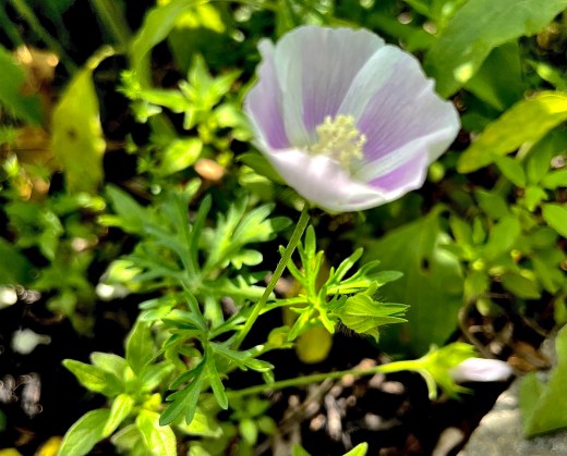 C70584BA-2D04-4BE7-9DA5-457C59D7F75F